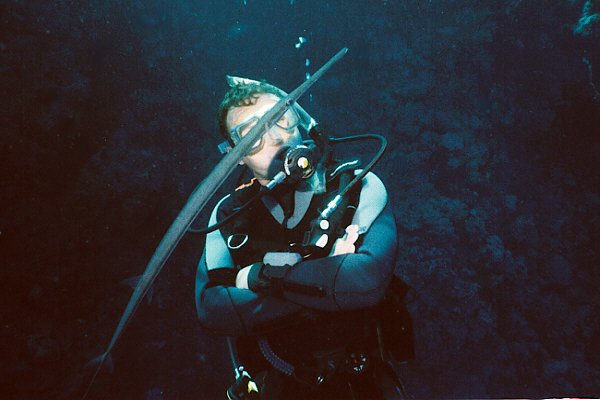 Fl�tenfisch mit Taucher