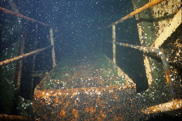 Treppe in der Br�cke