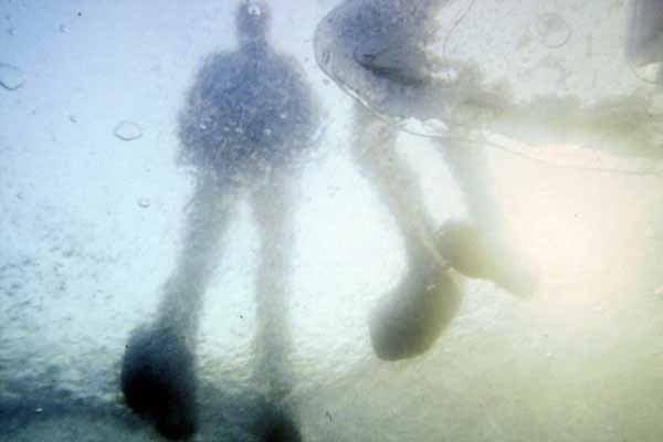 Blick aus dem Wasser durch das Eis