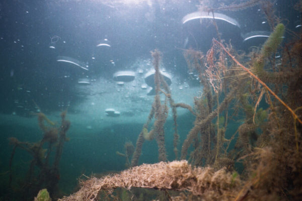 Luftblasen unter dem Eis