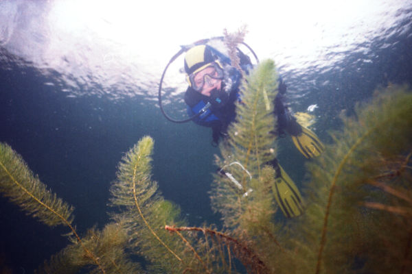 Taucher unter dem Eis