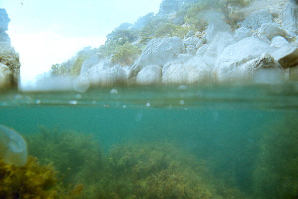 Halb- und Halbaufnahme