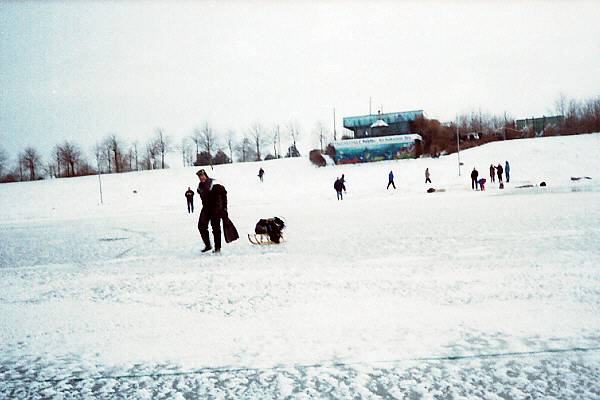 auf dem Eis