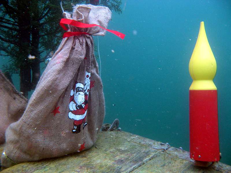 weihnachtliches Unterwasser-Stilleben