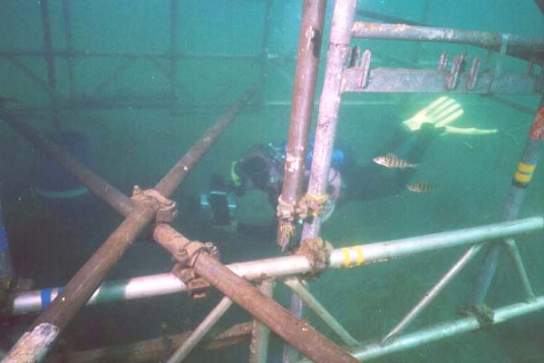 unter einer Plattform