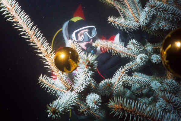 Weihnachtsmann Torsten bei der Gestaltung des Weihnachtsbaumes
