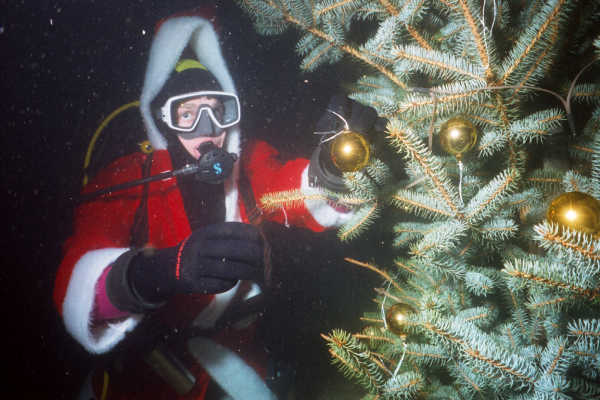 Weihnachtsmann Torsten bei der Gestaltung des Weihnachtsbaumes