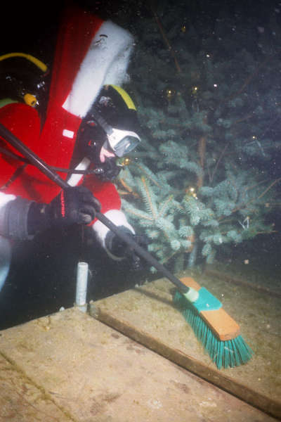 Das Reinigen der Plattform