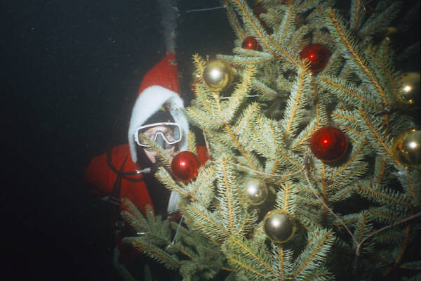 Weihnachtsbaum mit Weihnachtsmann