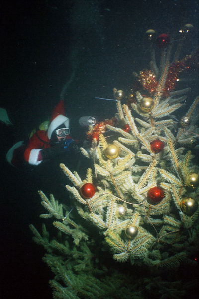 Weihnachtsbaum mit Weihnachtsmann