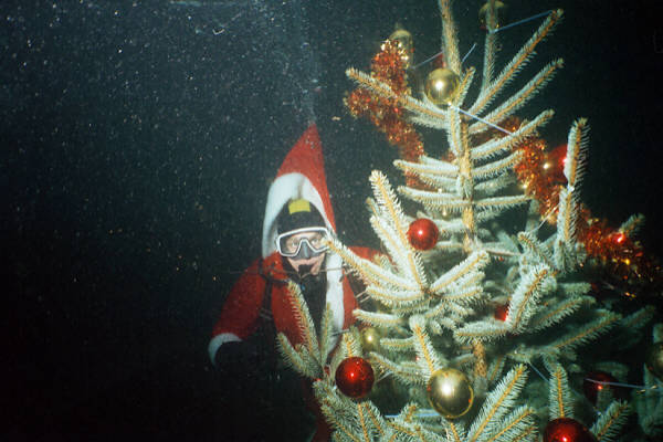 Weihnachtsbaum mit Weihnachtsmann
