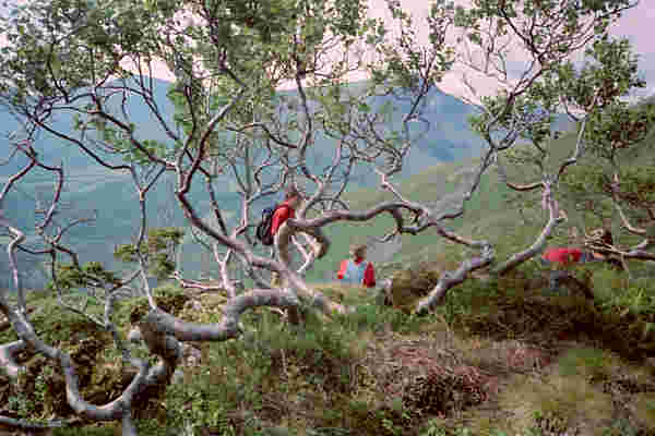 Wanderung zur H�hle