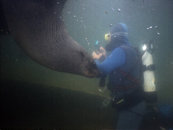 Fotografieren bereitet einige Schwierigkeiten