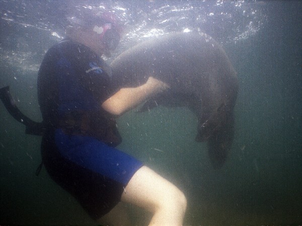 Spielen mit der Pflegerin