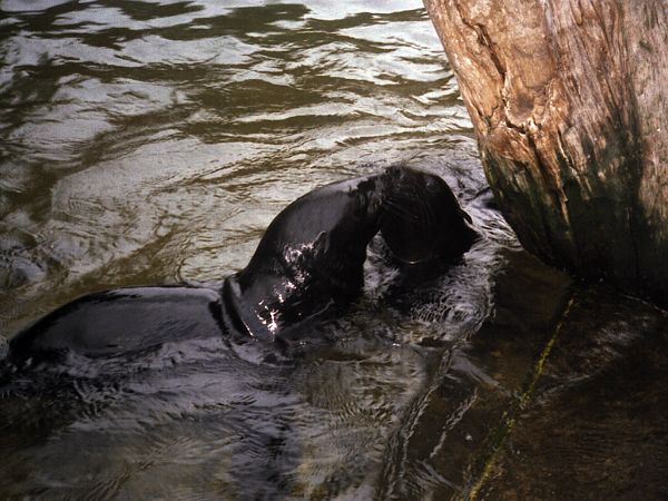Die beiden J�ngsten