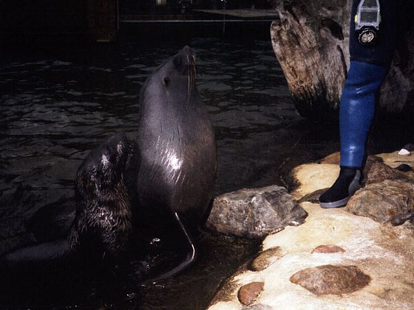 ... wo bleibt ihr denn ... ?