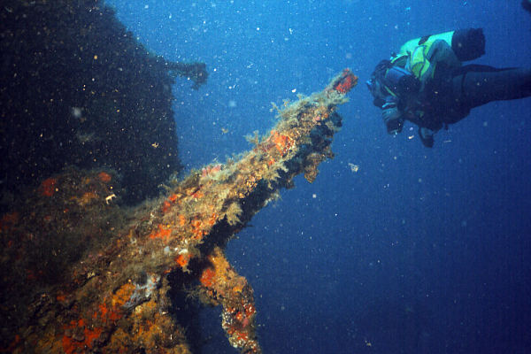 Zwillingsflagg auf der Isonzo