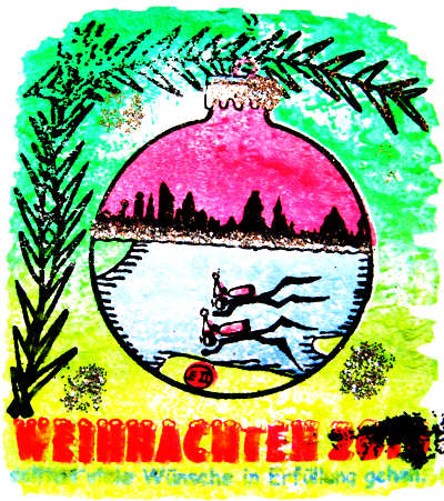 Weihnachtstauchen am 4.Dez.2010