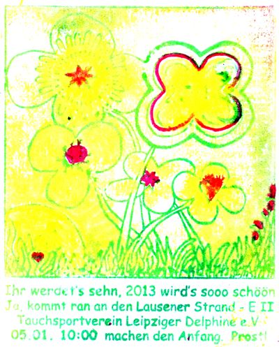 Neujahrstauchen am 5.Januar 2013