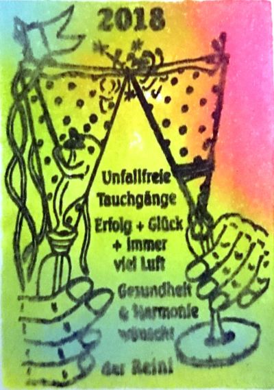 Neujahrstauchen am 1.Januar 2018